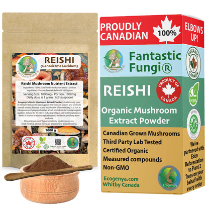 Organic Reishi (Ganoderma lucidum) Mushroom extract powder / Extrait de Reishi (Ganoderma lucidum) biologique en poudre