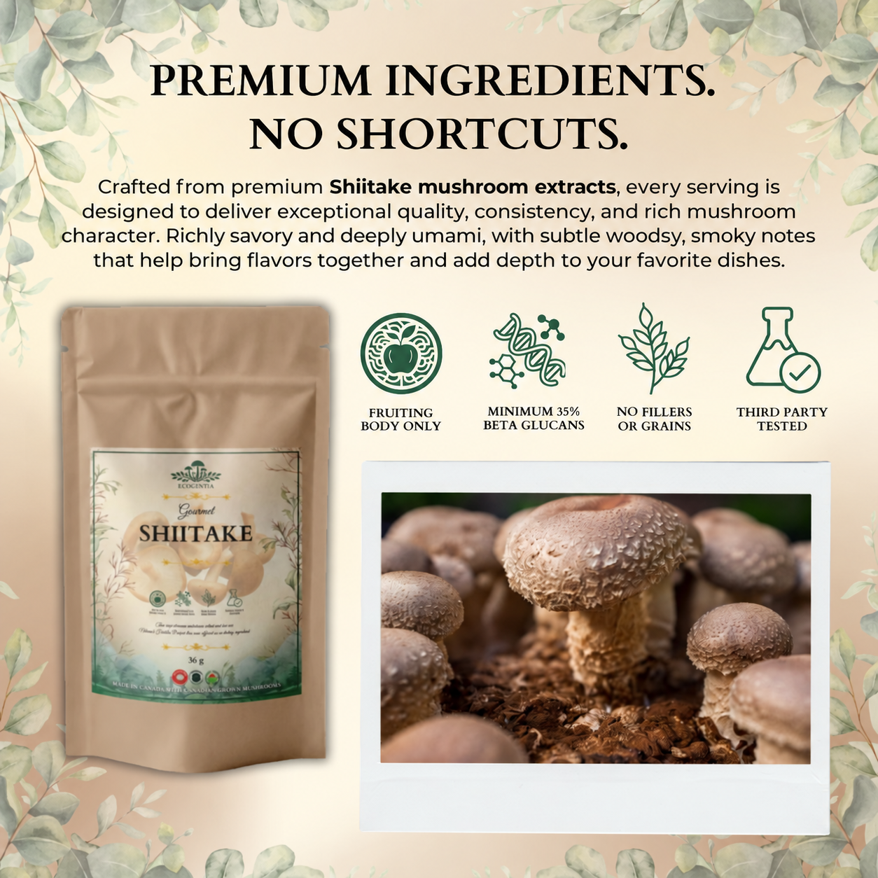 Poudre de Shiitake Gourmet Ecogenya – Extrait Biologique de Corps Fructifère pour une Cuisine Umami
