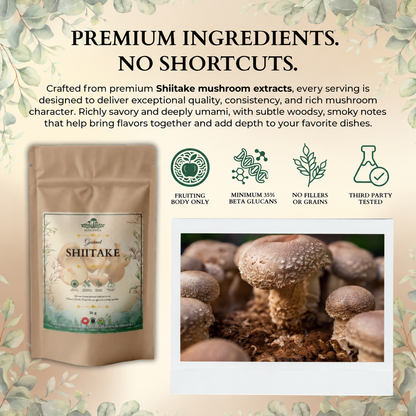 Poudre de Shiitake Gourmet Ecogenya – Extrait Biologique de Corps Fructifère pour une Cuisine Umami