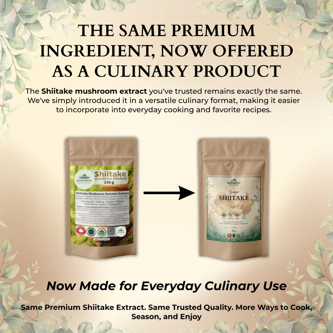 Poudre de Shiitake Gourmet Ecogenya – Extrait Biologique de Corps Fructifère pour une Cuisine Umami