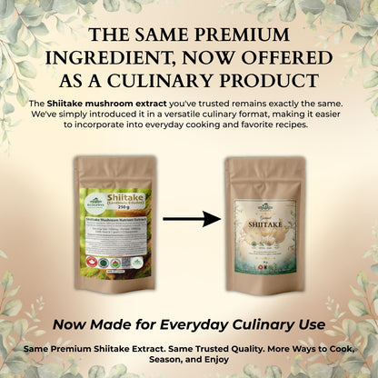 Poudre de Shiitake Gourmet Ecogenya – Extrait Biologique de Corps Fructifère pour une Cuisine Umami
