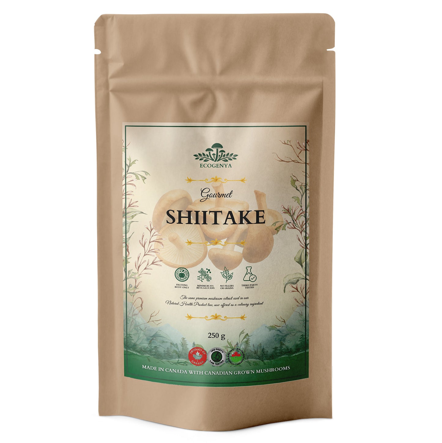 Gourmet Shiitake Mushroom Powder – Organic Shiitake Extract
