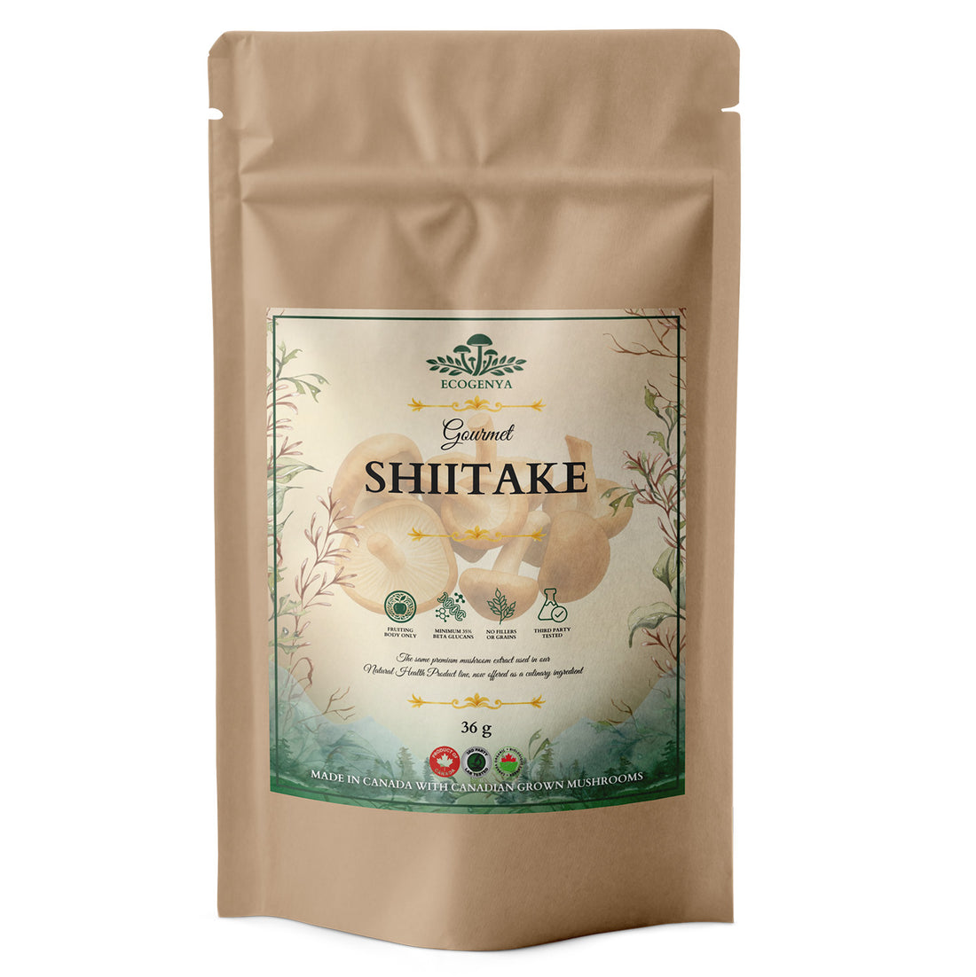 Gourmet Shiitake Mushroom Powder | Organic Fruiting Body Extract | Ecogenya
