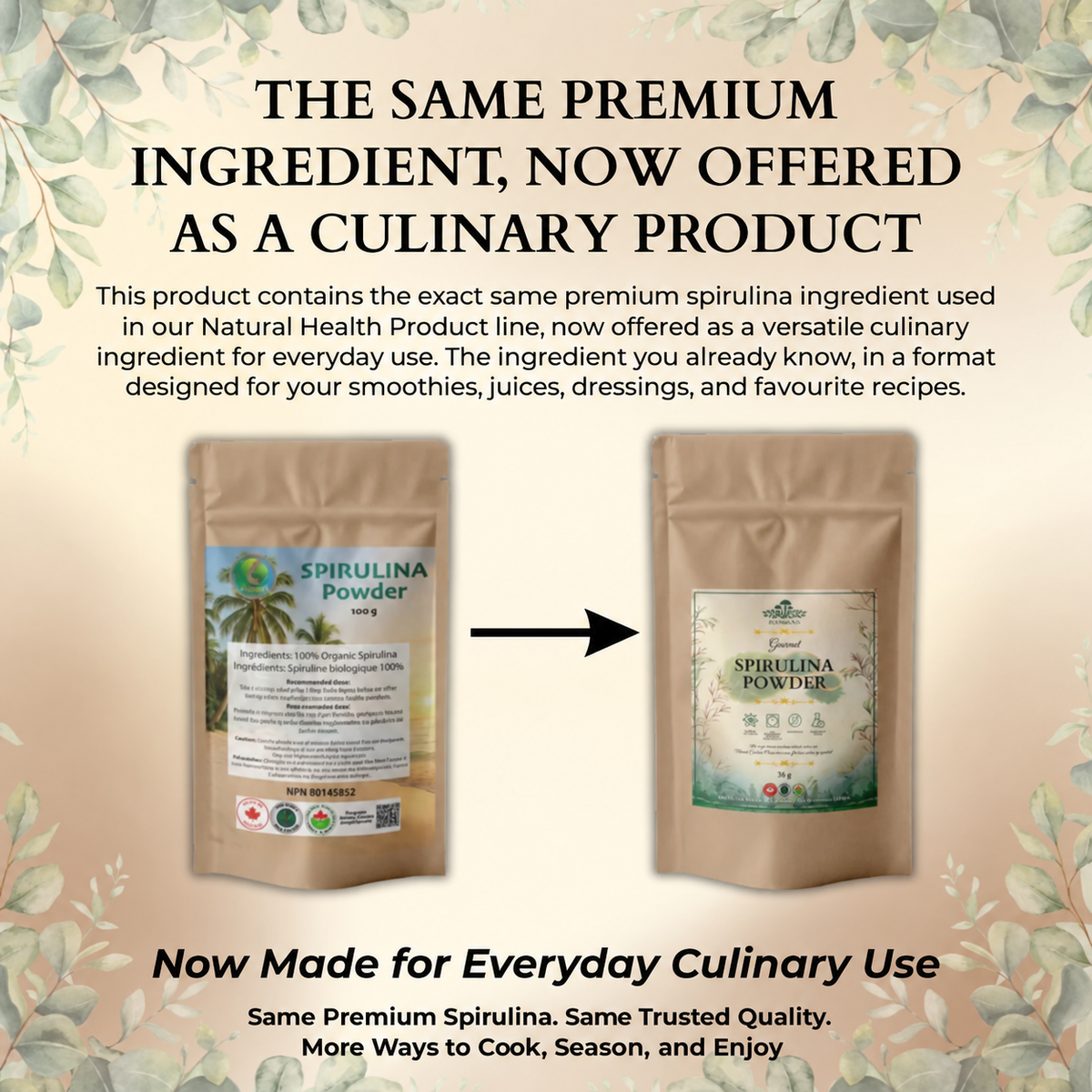 Ecogenya Daily Greens Spirulina Powder – Premium Spirulina for Smoothies & Juices