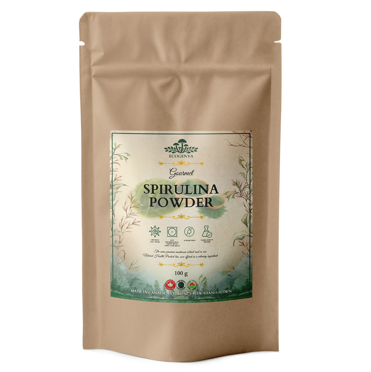 Ecogenya Daily Greens Poudre de Spiruline – Spiruline de Qualité Supérieure pour Smoothies et Jus