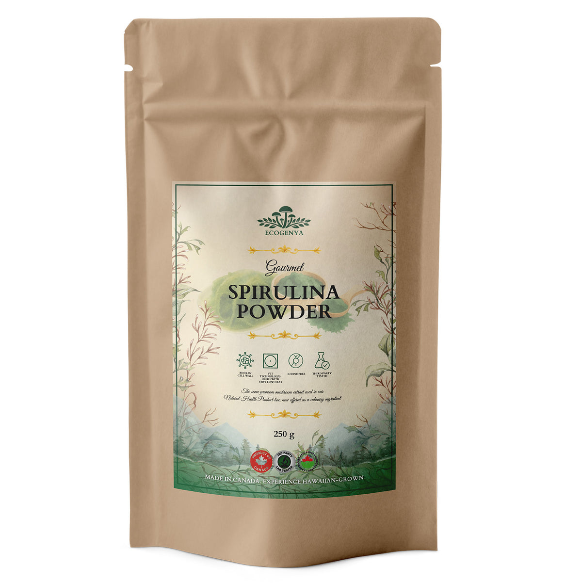 Ecogenya Daily Greens Poudre de Spiruline – Spiruline de Qualité Supérieure pour Smoothies et Jus