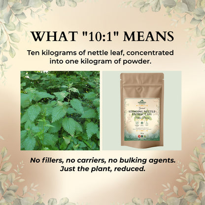 Stinging Nettle Extract 10:1 concentration explained with nettle leaf and Ecogenya pouch