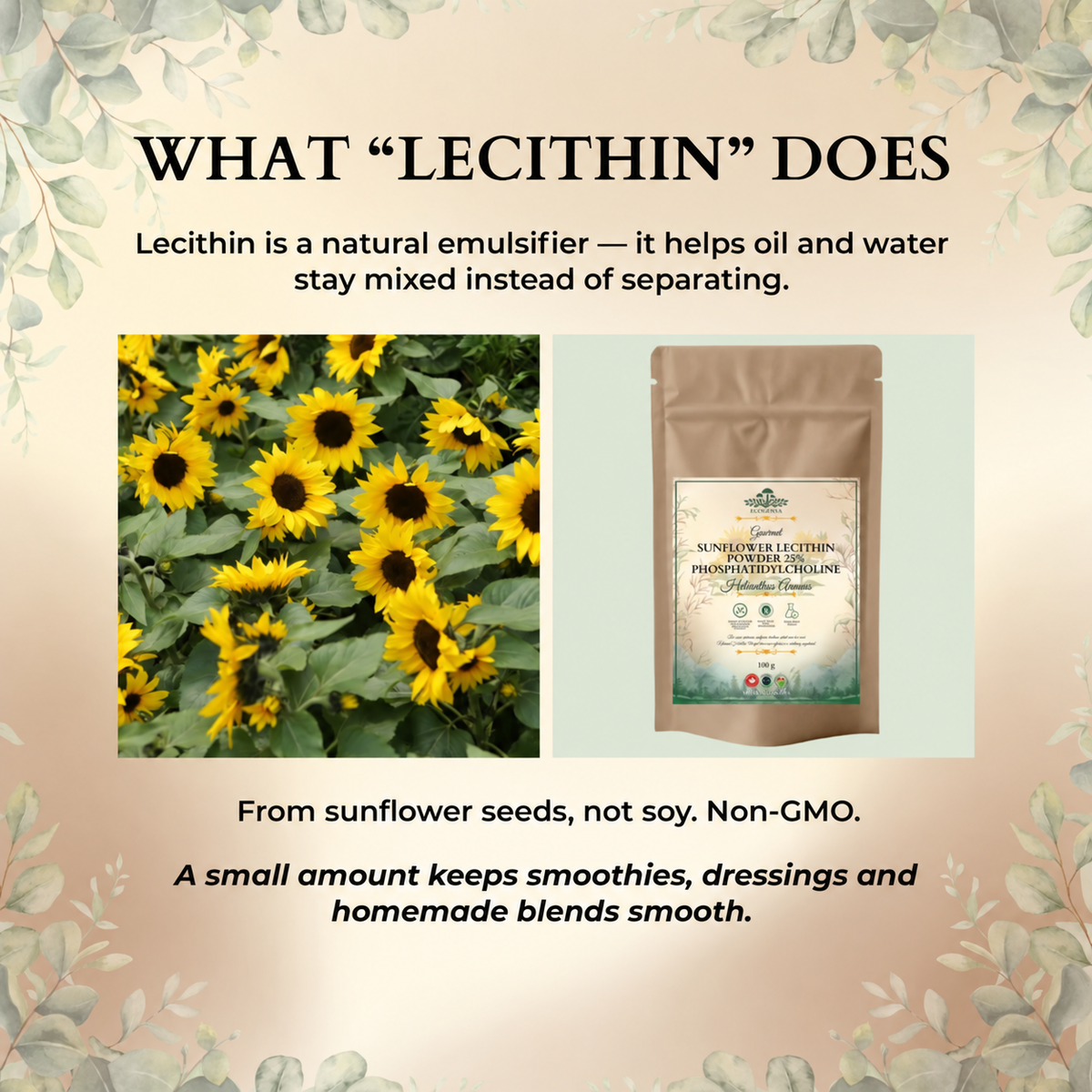 Sunflower Lecithin Powder – Non-GMO, Kitchen-Ready Emulsifier