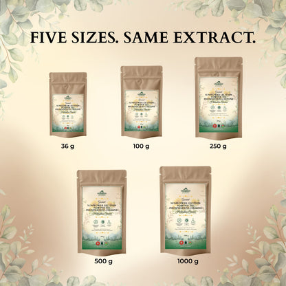 Sunflower Lecithin Powder – Non-GMO, Kitchen-Ready Emulsifier