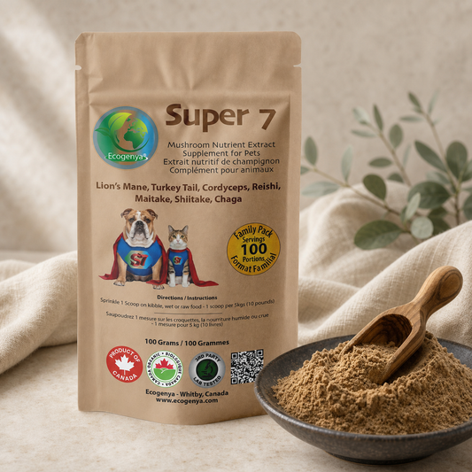 Ecogenya Super 7 mushroom blend for pets with a bowl of powder and wooden scoop
