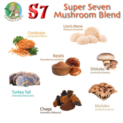 Super 7 Mushroom Tincture – Triple Extracted - Glycerin or Alcohol Suspension + Vitamin C - Ecogenya