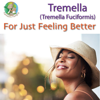 Tremella Mushroom Extract – Organic Tremella Fuciformis Mushroom Nutrient Extract Powder with >35% beta glucans - Ecogenya