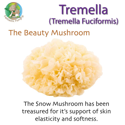 Tremella Mushroom Extract – Organic Tremella Fuciformis Mushroom Nutrient Extract Powder with >35% beta glucans - Ecogenya