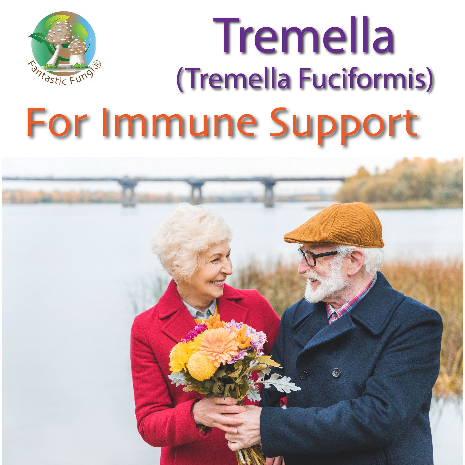 Tremella Mushroom Extract – Organic Tremella Fuciformis Mushroom Nutrient Extract Powder with >35% beta glucans - Ecogenya