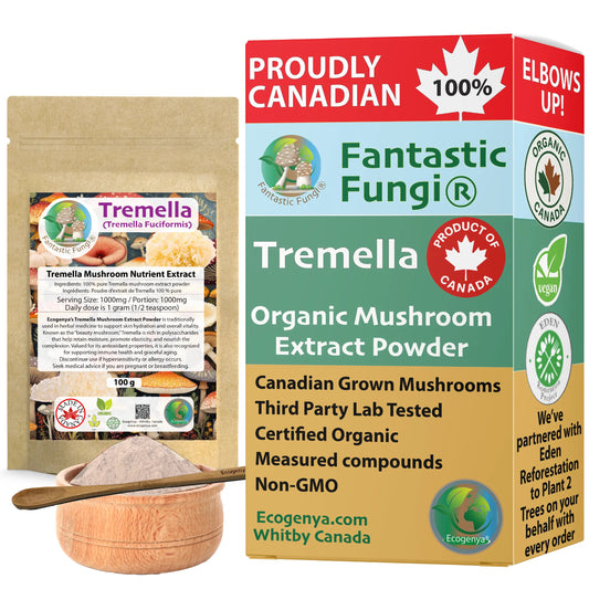 Extracto de hongo Tremella: extracto de nutrientes orgánico en polvo de hongo Tremella fuciformis con &gt;35 % de betaglucanos 