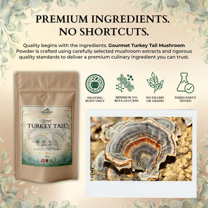 Ecogenya Gourmet Turkey Tail Mushroom Powder – Organic Fruiting Body Extract, 47% Beta-Glucans