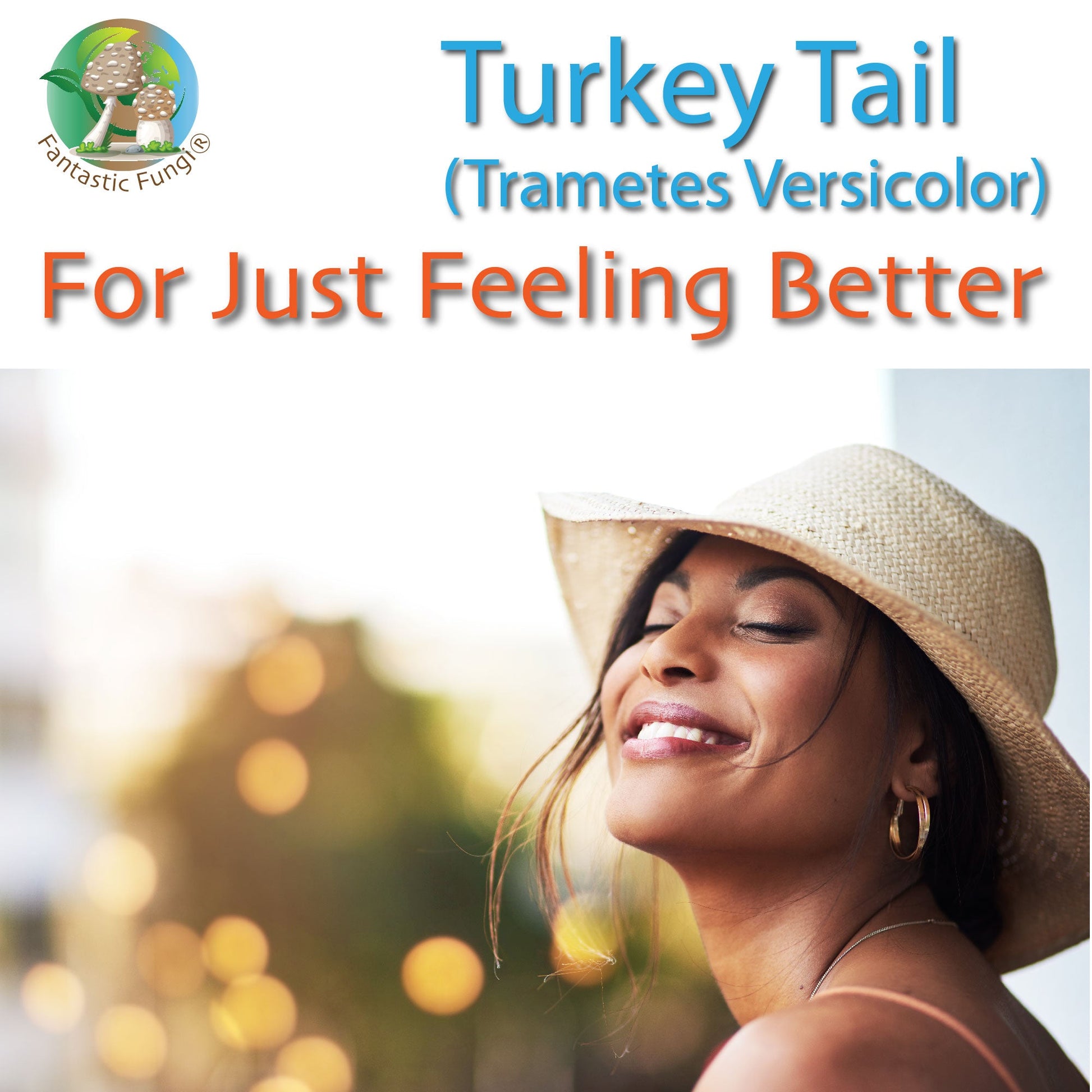 Turkey Tail (Trametes Versicolor) Mushroom Extract – Organic, Vegan, Non-GMO, Halal, Kosher - Ecogenya