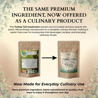 Ecogenya Gourmet Turkey Tail Mushroom Powder – Organic Fruiting Body Extract, 47% Beta-Glucans