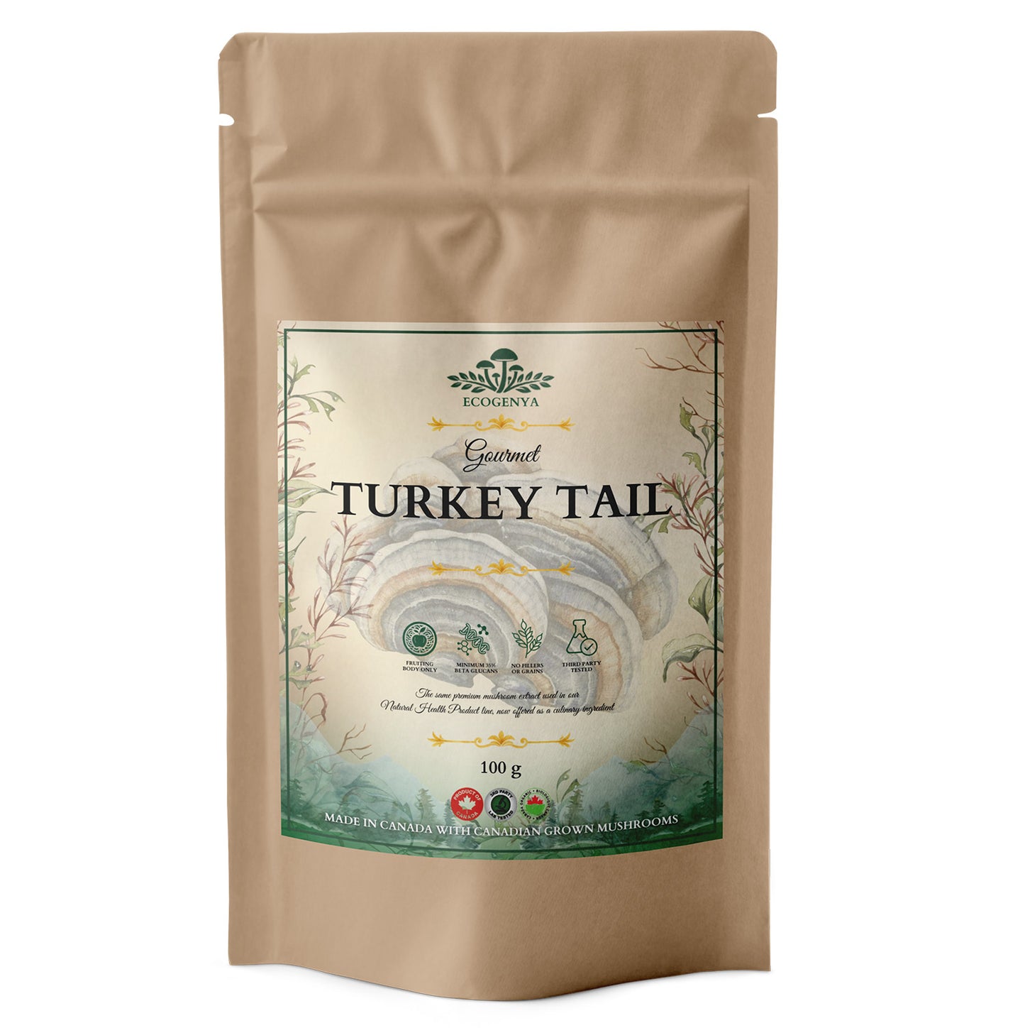 Gourmet Turkey Tail Mushroom Powder – Organic Turkey Tail Extract