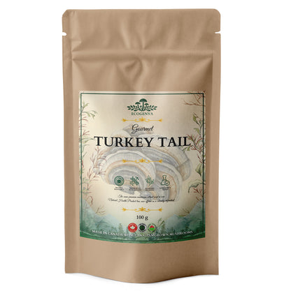 Ecogenya Gourmet Turkey Tail Mushroom Powder in a kraft bag, 100g — packaged in Canada