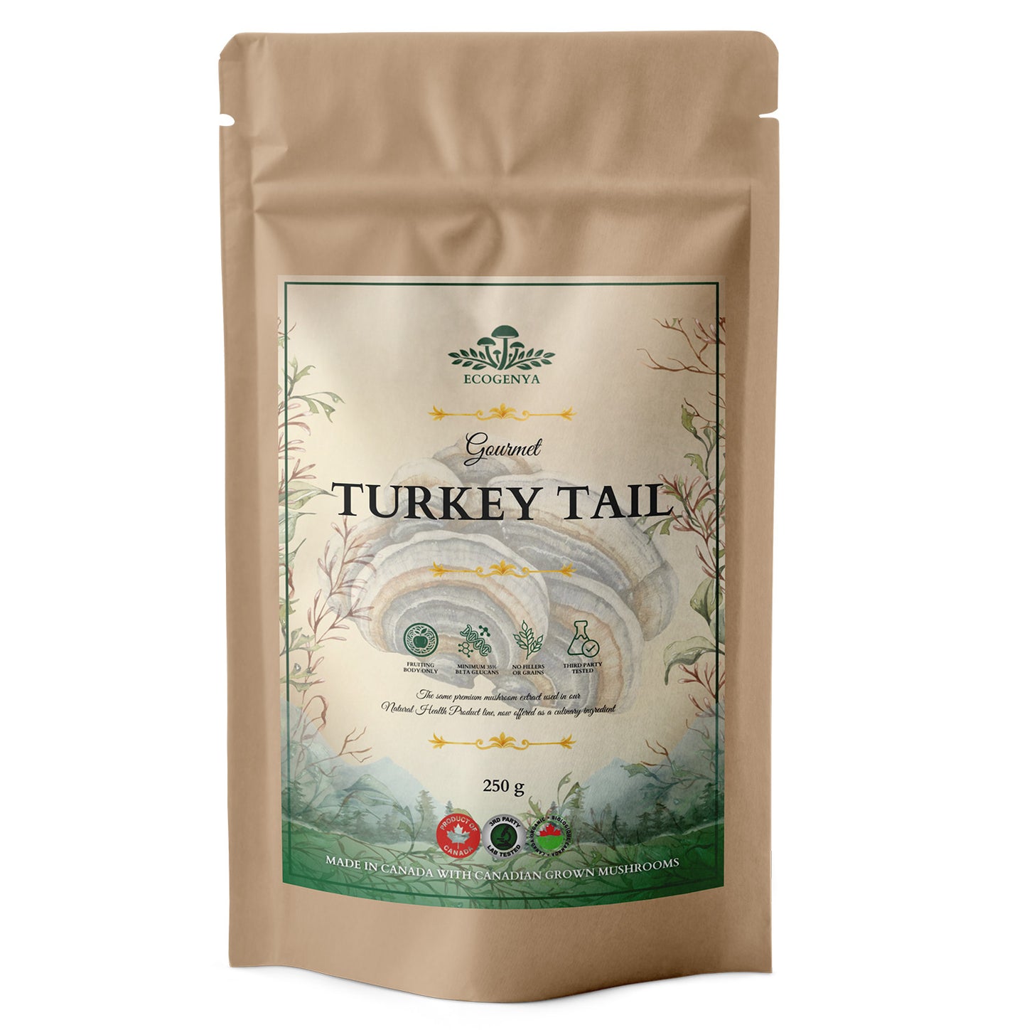 Gourmet Turkey Tail Mushroom Powder – Organic Turkey Tail Extract