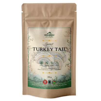 Ecogenya Gourmet Turkey Tail Mushroom Powder in a kraft bag, 250g — packaged in Canada