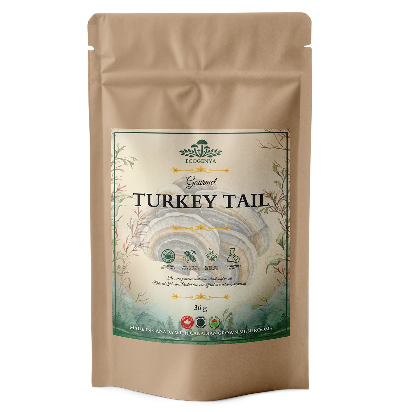 Gourmet Turkey Tail Mushroom Powder – Organic Turkey Tail Extract