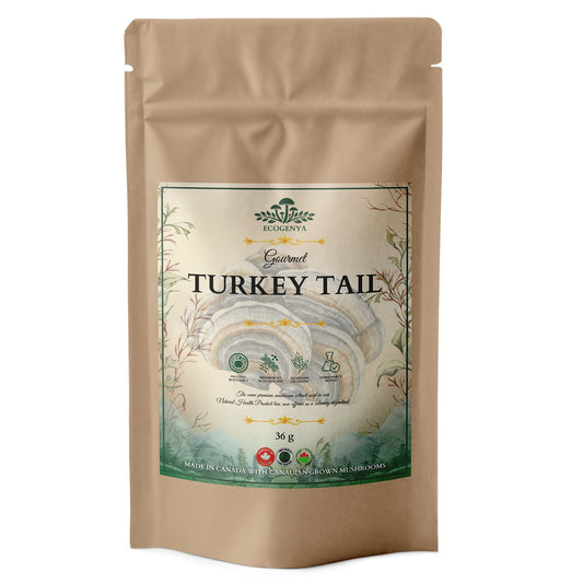 Gourmet Turkey Tail Mushroom Powder – Organic Turkey Tail Extract