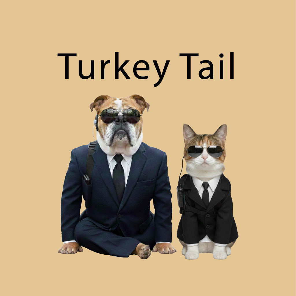 Turkey Tail Mushroom Extract for Pets