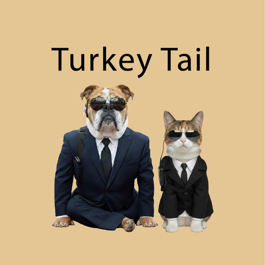 Turkey Tail Mushroom Extract for Pets