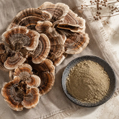Ecogenya Turkey Tail Extract for Pets, ingredient hero shot — packaged in Canada