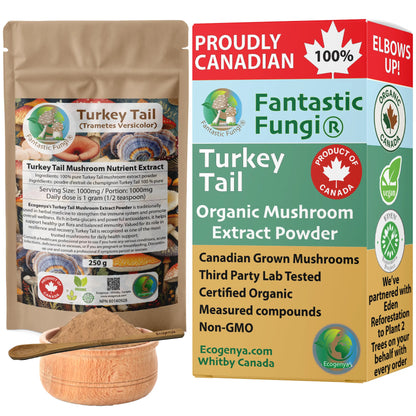 Turkey Tail (Trametes Versicolor) Mushroom Extract – Organic, Vegan, Non-GMO, Halal, Kosher