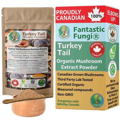 Turkey Tail (Trametes Versicolor) Mushroom Extract – Organic, Vegan, Non-GMO, Halal, Kosher