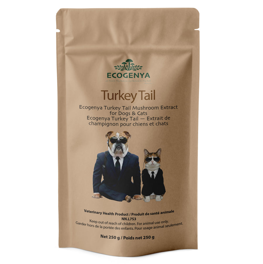 Ecogenya Turkey Tail Mushroom Extract for Dogs & Cats — Single-Ingredient