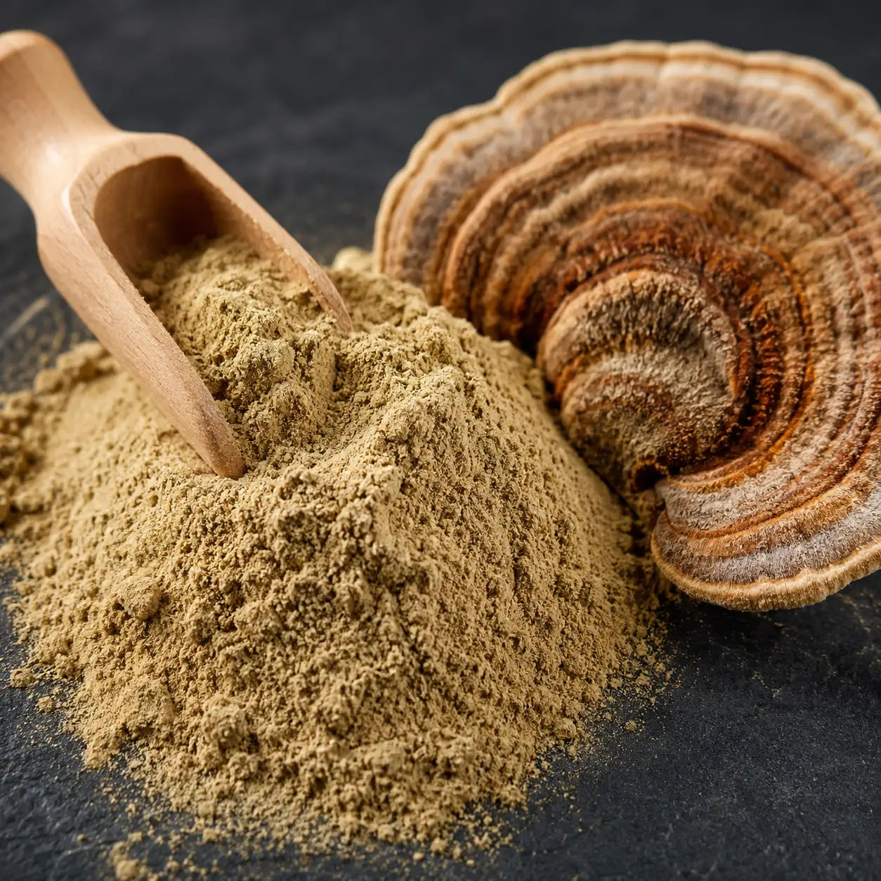 Turkey Tail Mushroom Extract for Dogs & Cats
