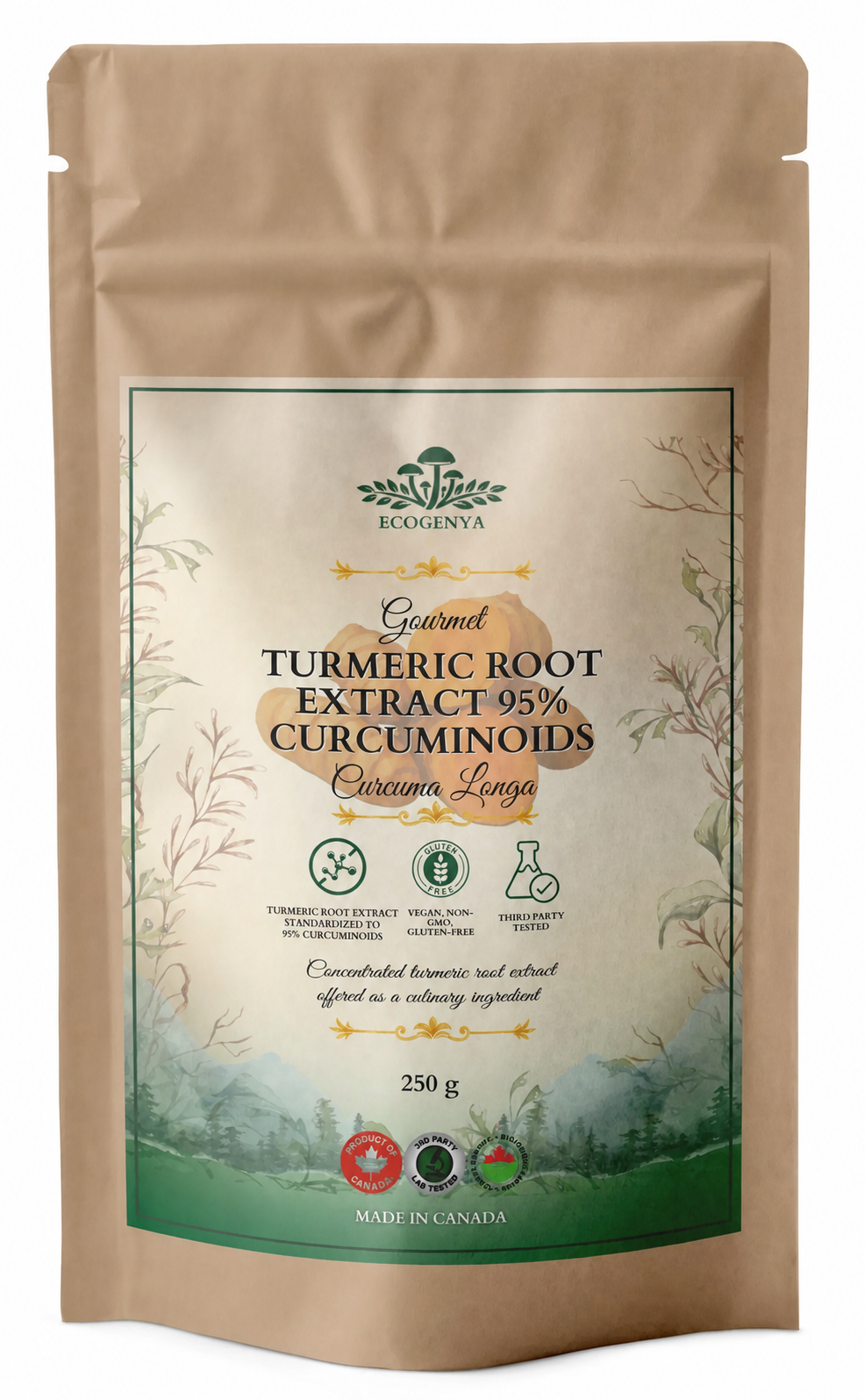 Ecogenya Turmeric Root Extract 95% Curcuminoids, 250 g pouch