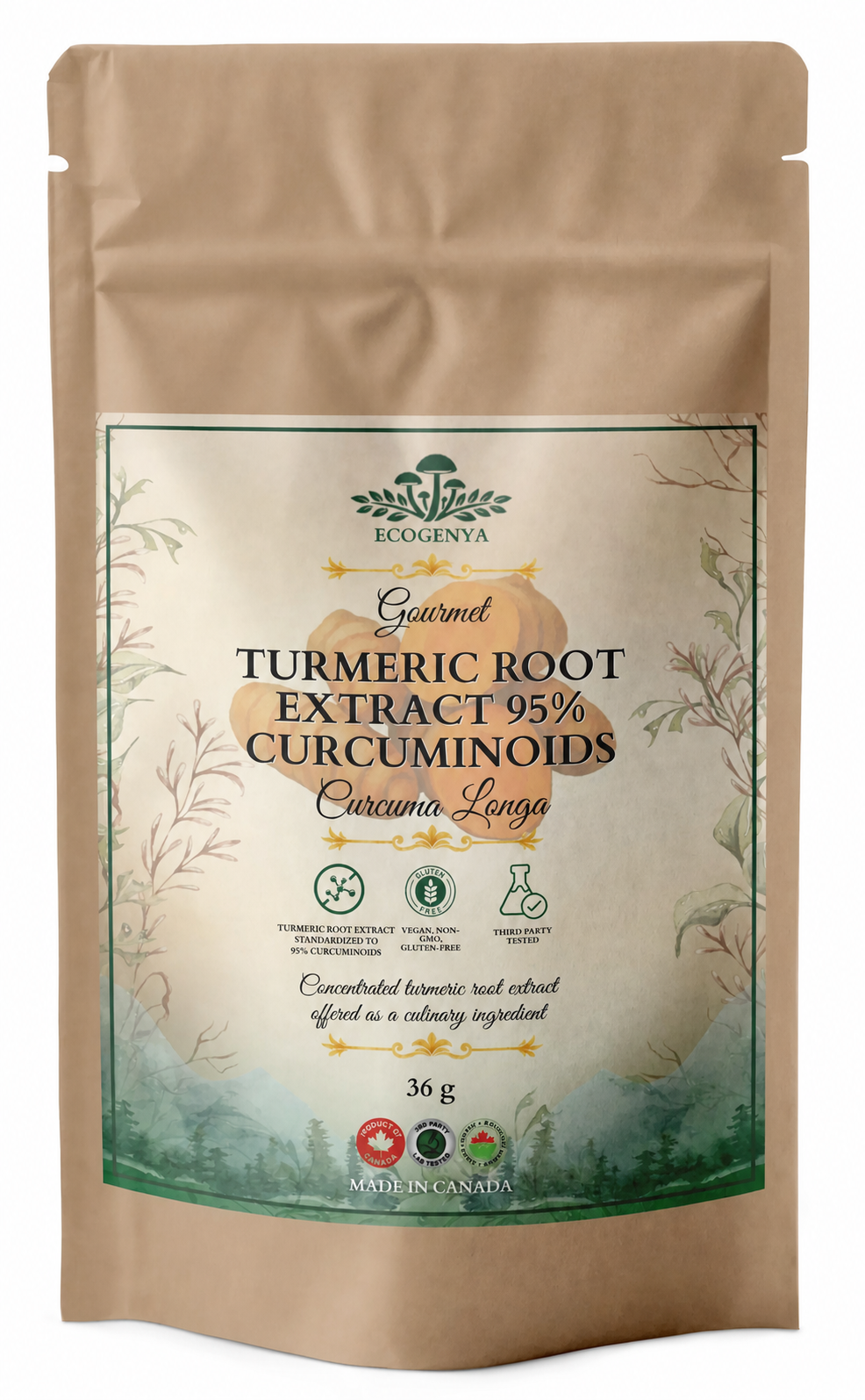 Ecogenya Turmeric Root Extract 95% Curcuminoids, 36 g pouch