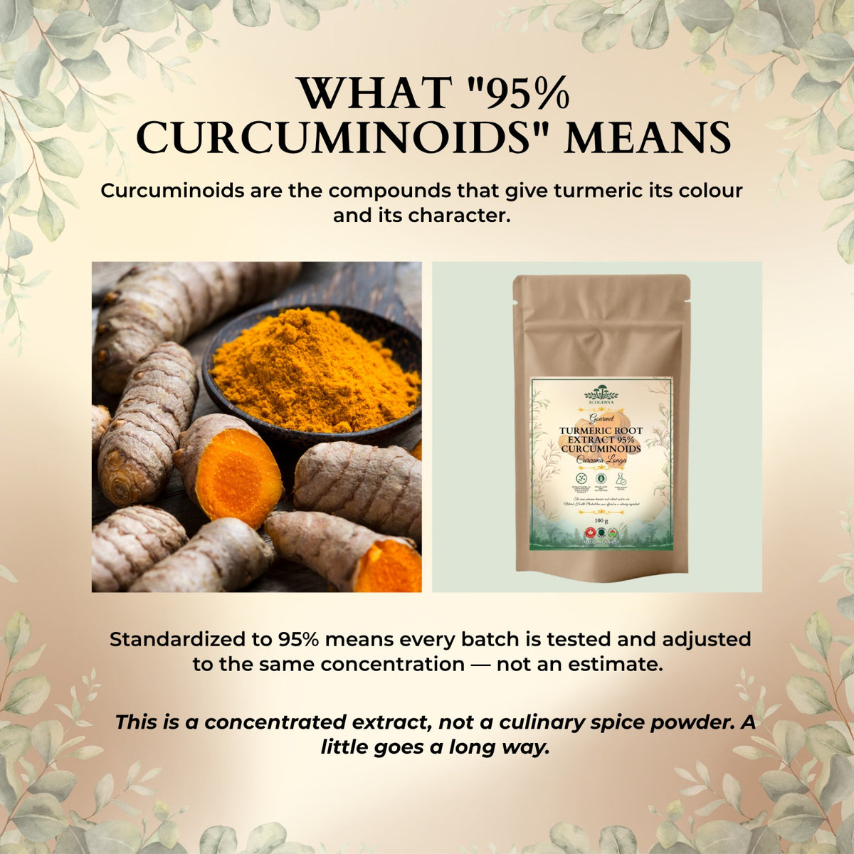 Turmeric Root Extract 95% Curcuminoids – Kitchen-Ready