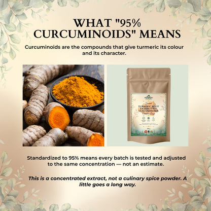 Turmeric Root Extract 95% Curcuminoids – Kitchen-Ready