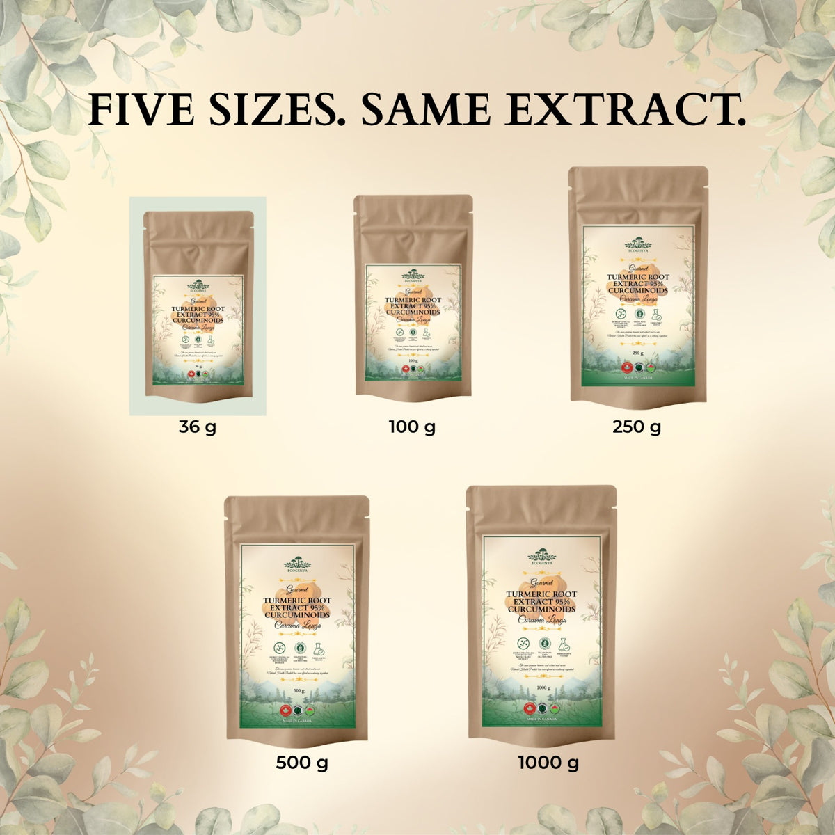 Turmeric Root Extract 95% Curcuminoids – Kitchen-Ready