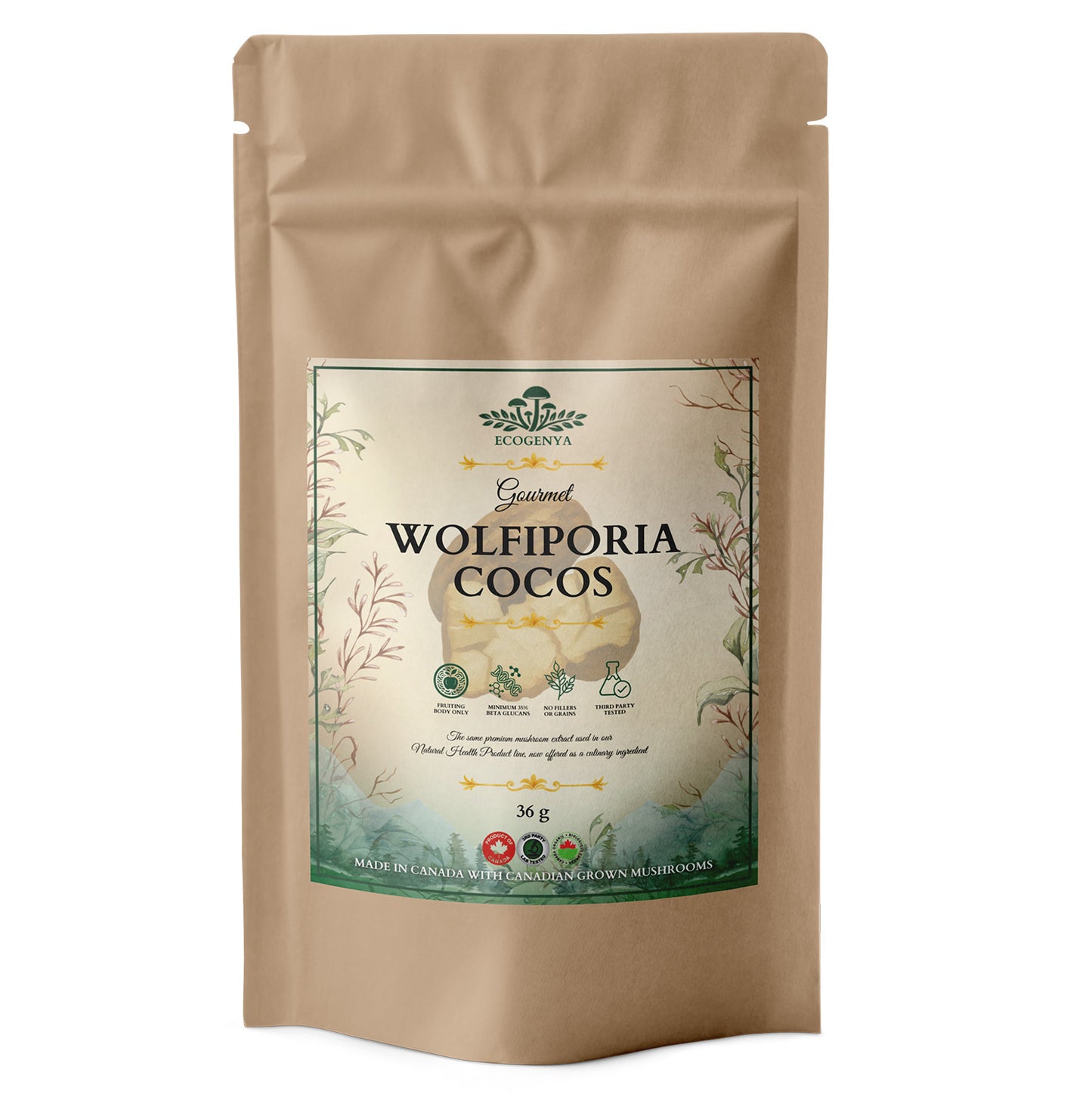 Gourmet Wolfiporia Cocos Mushroom Extract – Organic Wolfiporia Cocos Powder