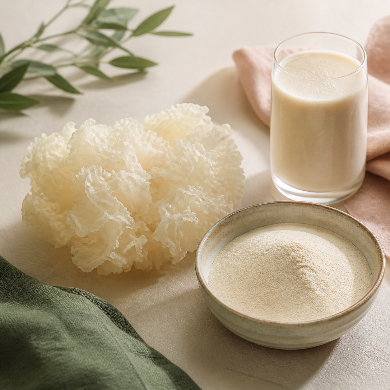 Tremella mushroom, fine Tremella powder and a creamy drink arranged with soft blush and green textiles